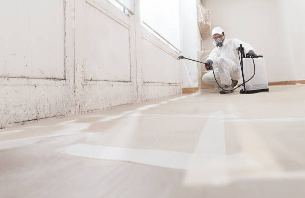 24/7 Emergency Mold Remediation experts in Mount Vernon, KY
