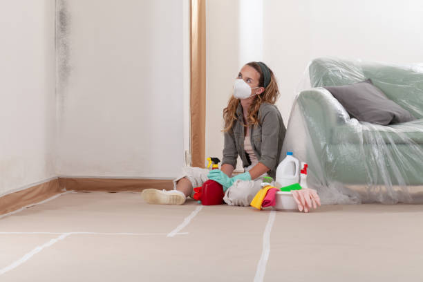 Reliable Mold Remediation contractor in Mount Vernon, KY by 24 Hour Mold Removal